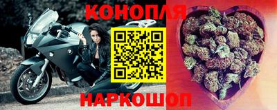 наркотики Кингисепп