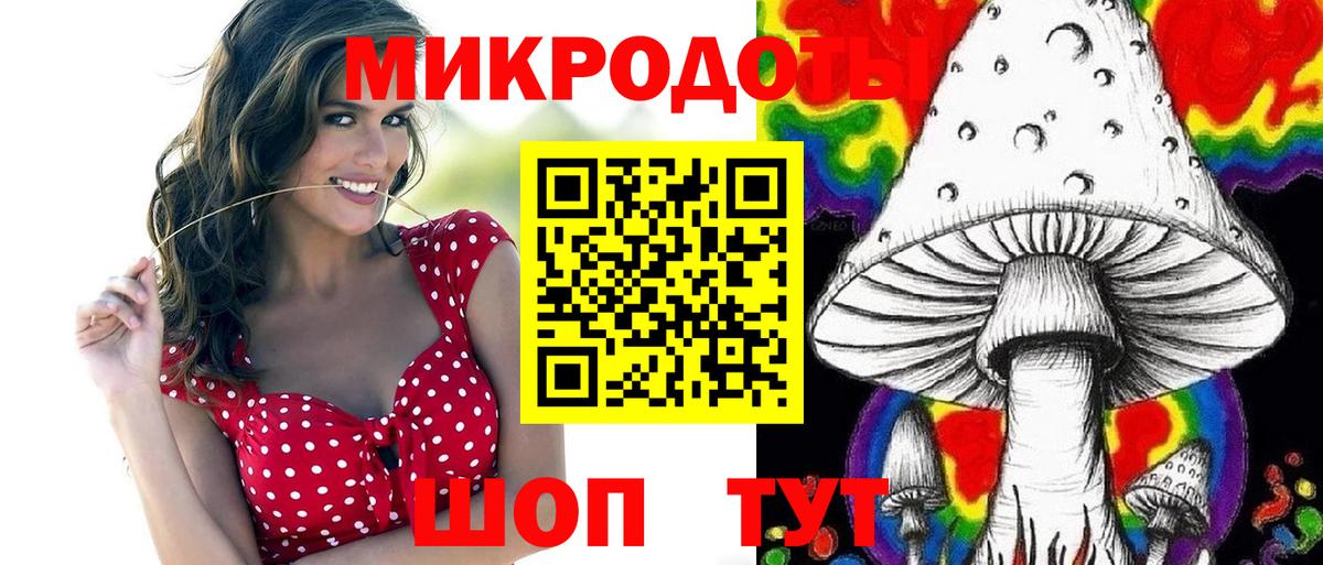Псилоцибиновые грибы Cubensis Кохма