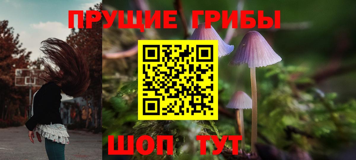 Псилоцибиновые грибы Psilocybe  Вход с VPN  Кохма 